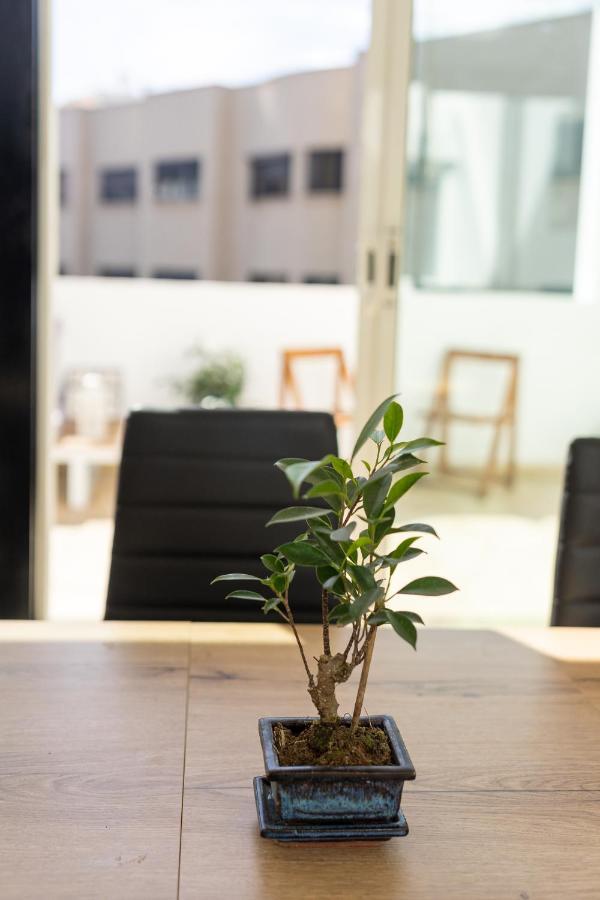 Un Lugar House Canteras - Coliving 大加那利岛拉斯帕尔马斯 外观 照片